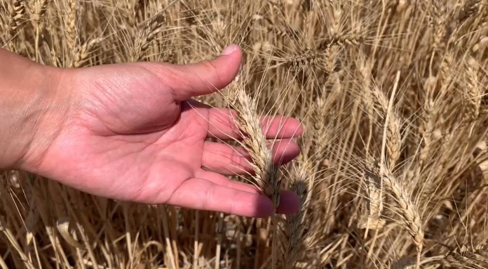 ����� ����������: ������ ������ � ���������� ������� ���������� ������ ������ ������������ ������� �������