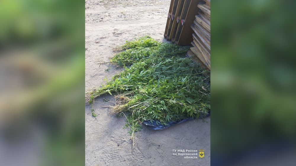 � ��������������� ������ ���������� ������� ������� ���������� ������� � 186 ������� �������