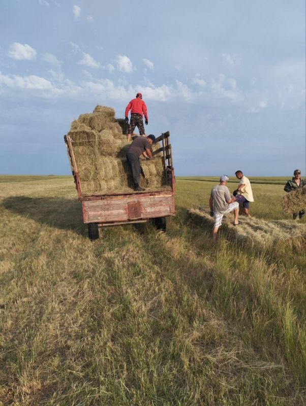 � �����-��������� ������������ ����� ���������� �������� ���� ��� �������� �� ����