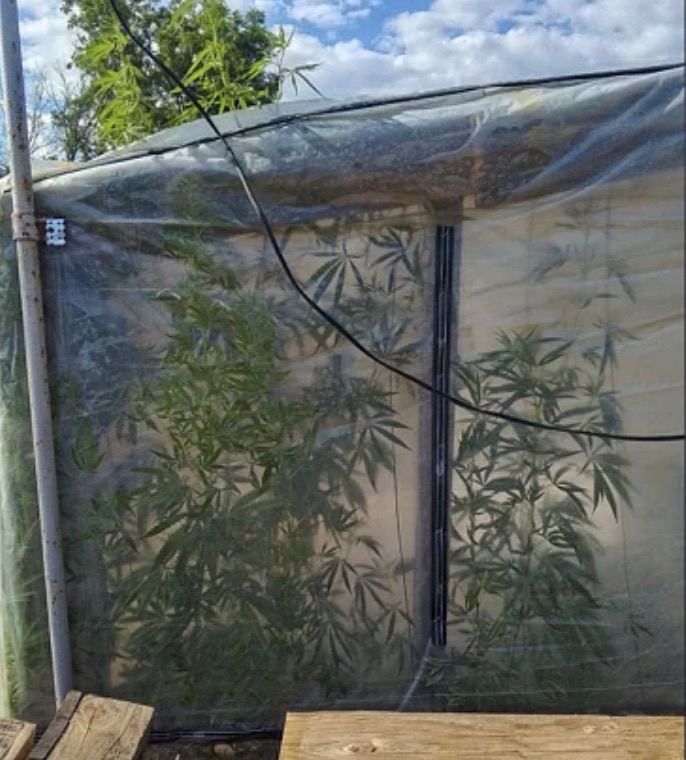 � ��������������� ������ ������� ���������� ������� � 186 ������� �������