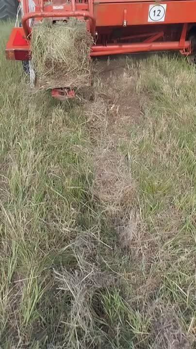 � ��� "�����-��������� ������������ ����" ���������� �������� ���� ��� �������� �� ����