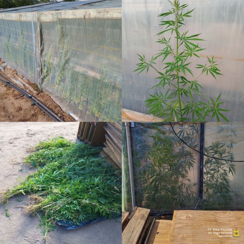 � ������ ���������������� ������ ���������� ����� 200 ������ ������� � ��������� ����� ��������� � ��� ������ ���� �� ��������