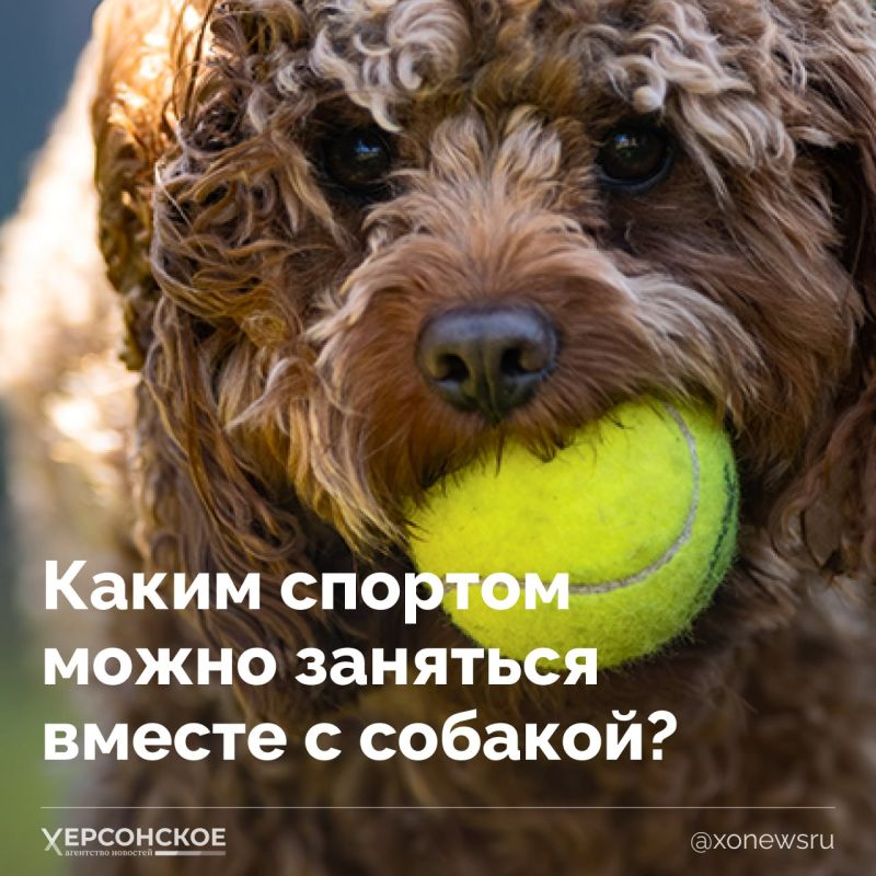 ����� ���������� ��������, �������� ����� �����������: ������ �������, ��������� 10 ����� �����