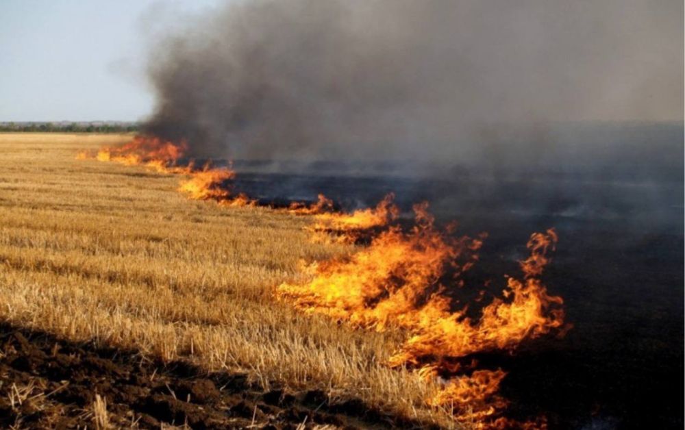 ���������������� ���������� � ������������� ���������� ���������������� ������ �� ��������� ��������