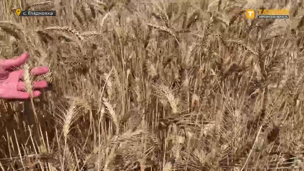 "������ ������" � ���������� ������� ���������� ������ ������ ������������ �������������������� �������