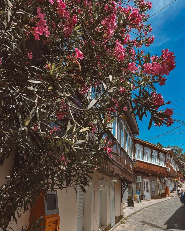 ������� ������� ���������� � ����� �������� (4 ���