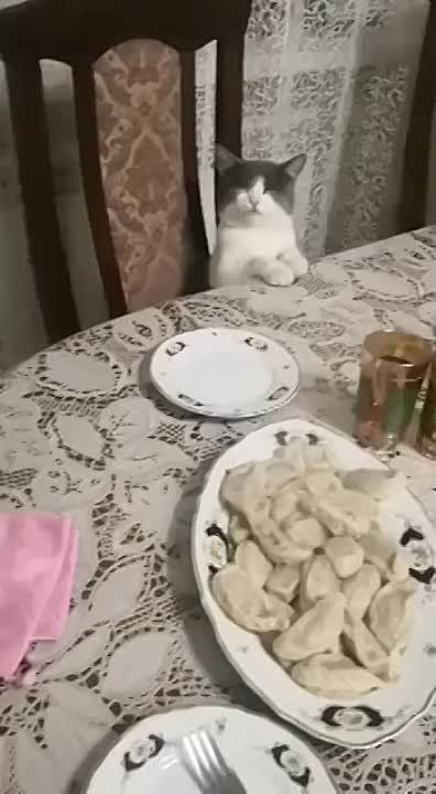 ����� ����������� �����