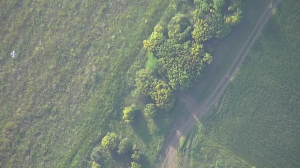 �������� ������: ��������� ���� ����������� ����� ������ ���������� ������� ��� ���������� �� ������ ������ ������