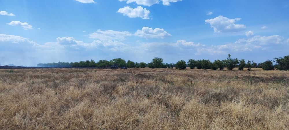 � ���� ������� ������� ������ ������� ������� ������������ �����