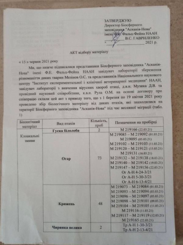 ��� � �� �������� �������� ���������� ������� � ������� ��� ������������ ����, ��� ����������� �������� �����������