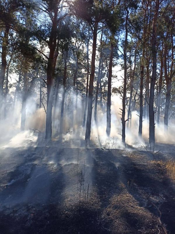 ��������������� ������������� ��������� ���������� ����� ����������� ������ � ��������� ������� ��������