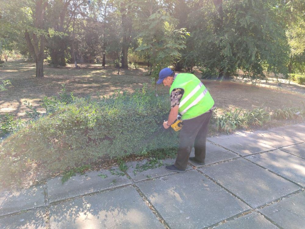 В с. расное произвели уборку парковой зоны