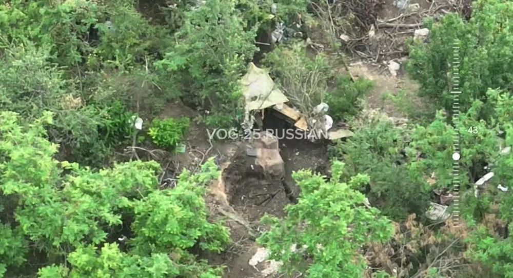 ����������� ������ ������� � ��� �������