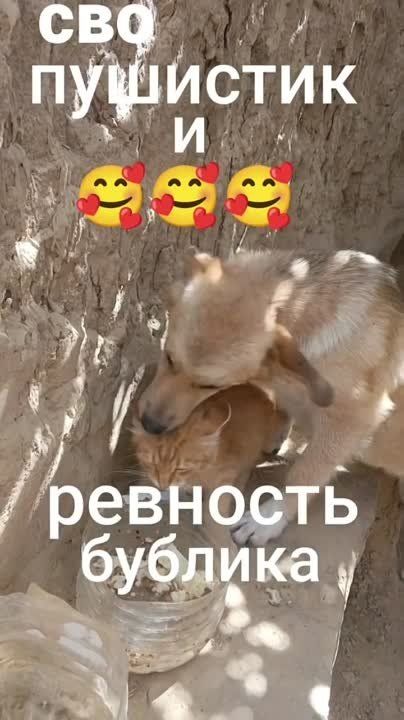 ������� ������ �� ���� ����� �����������