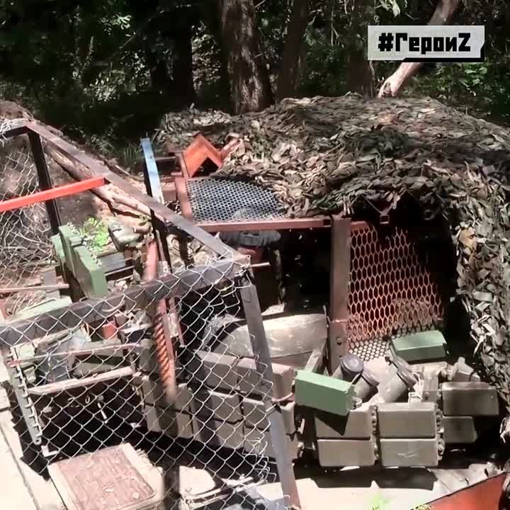 ���������, �������, ����������