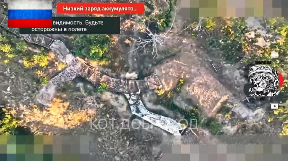 �� ���������� ����������� ������������� �� �� ���������� ���������� ������ ����������, ���, �������� �������� ����, ������� � ������������, ������� � ���������