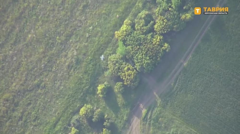 �� ���������� ����������� ���������� ����������� "�����" ���������� ������� ��� ����������