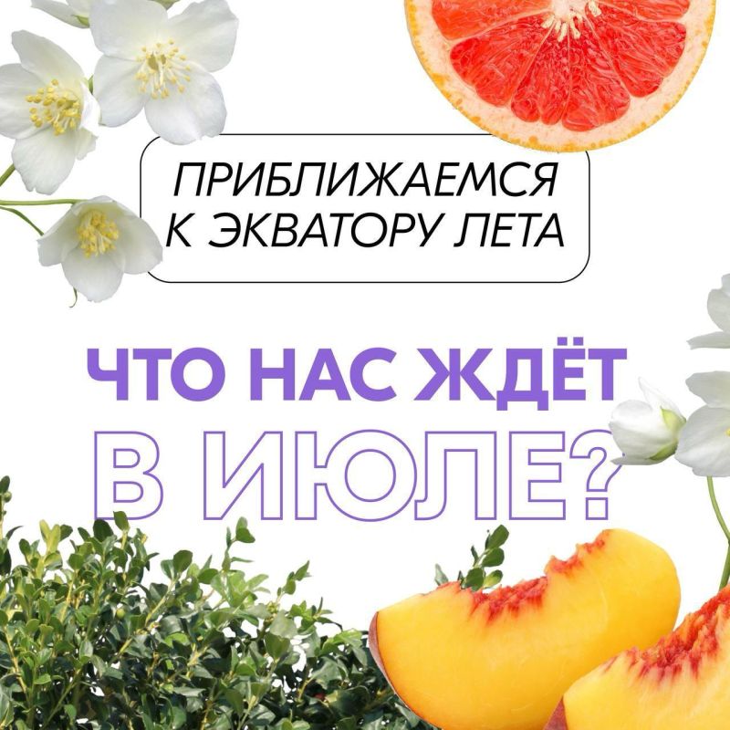 ���� ������ ����� ��������� ���������