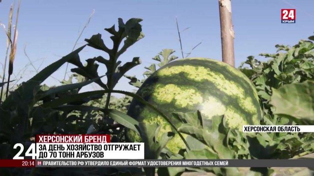 ���������� ������ ��������� �� ��������� �����