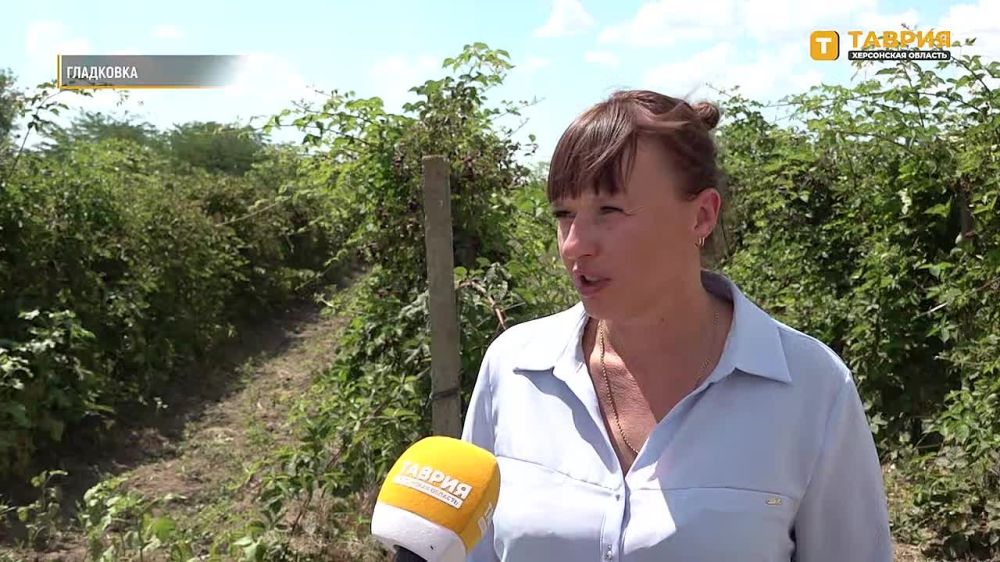 � ���� ��������� ������������ ���������� ��������� ����������� ������ ������