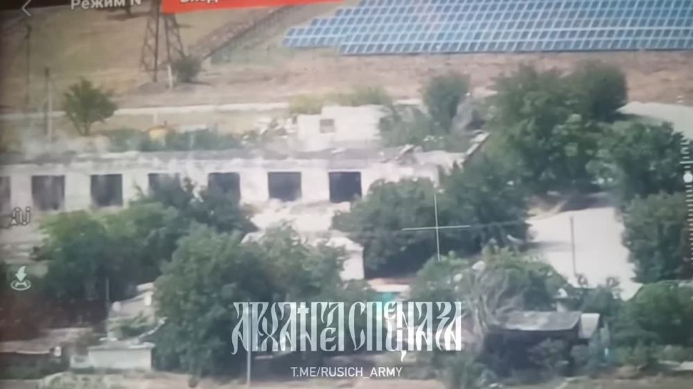 ����� �����: ���������� �����������