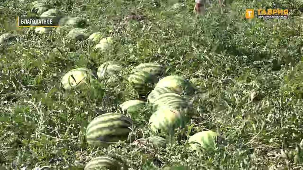 � ���������� ������� ��������� ���� ������ ������� ����� ������