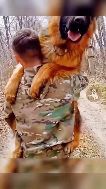 ��������� ����!. ��������-����� ���������� �������