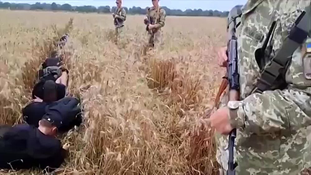 ������� ���, ����!. ������� ����������� ����� � �����