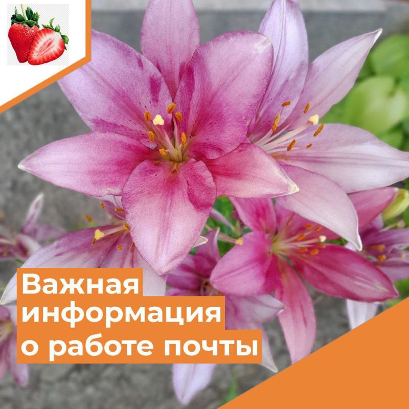 ��������� ������ �����������!