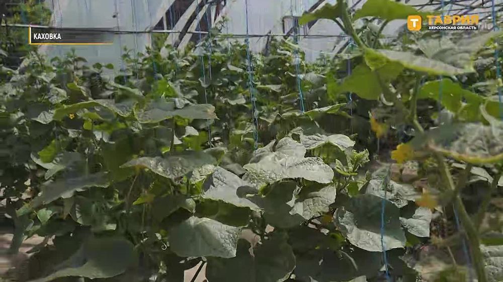 ������� �� ���������� ������� ���������� ����� � ������� ������� ������� ��������� �����