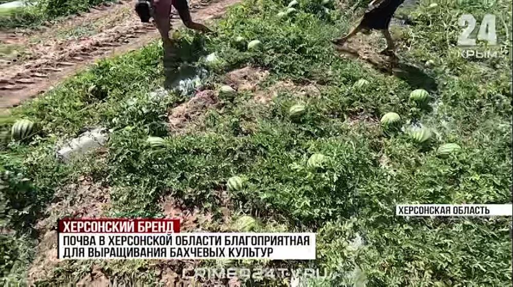 ������ �� ���������� ������� ��������� �� ��������� ����� �� ������ ������ ��������