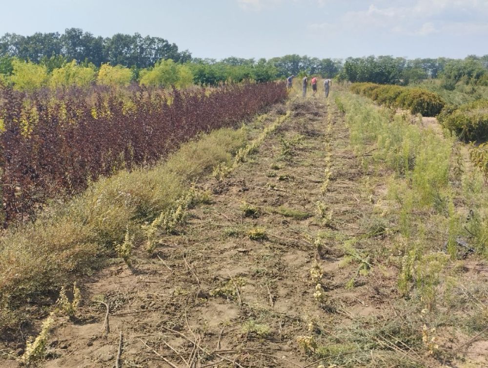 � ���������� ��������� ��������� � ������� ��������