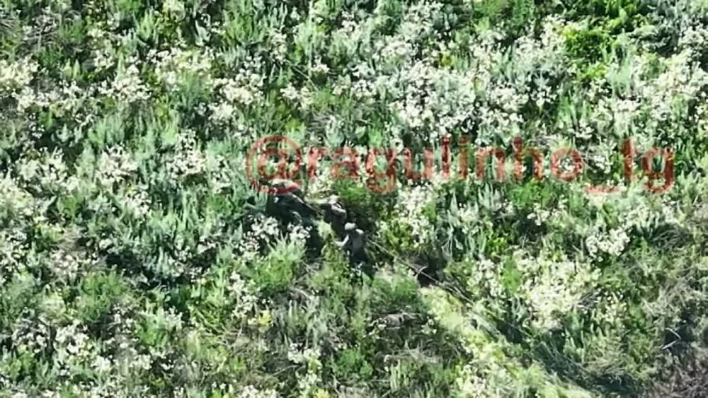 �������� ���������� 200-�� ������