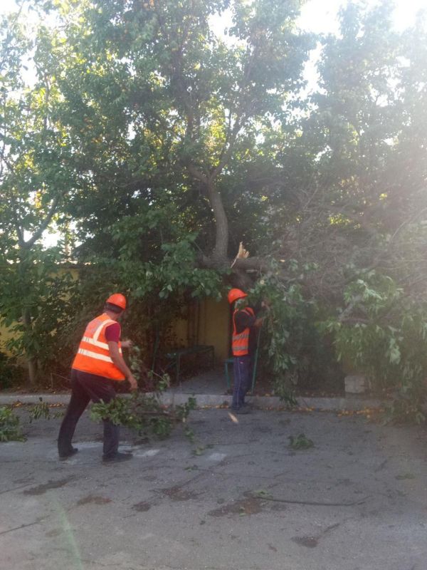 ����������� ����������� ��� �����������ɻ ���������� ��������� ������������ ������