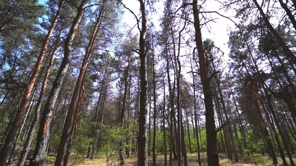 ����� 24� ������� �� �������� ������ � ���������� �������, ����� �������� ���, ��� �������� ����� ���������