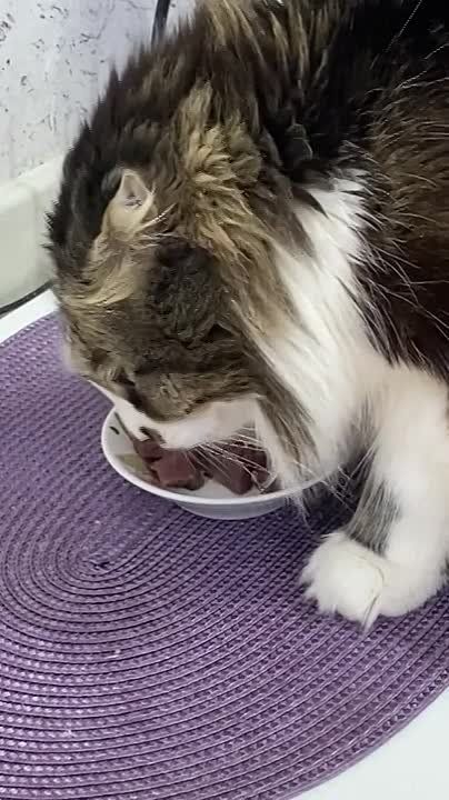 ������� ����� ��� ����. #������������