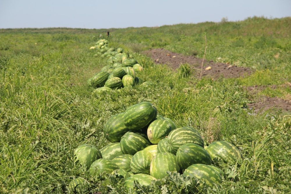 � ���������� ������� ��������� ������� ����� 10 ���