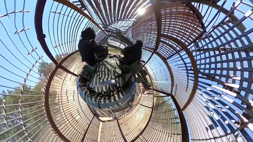 �� ���������� ����������� ���� ���� ���� �����-������