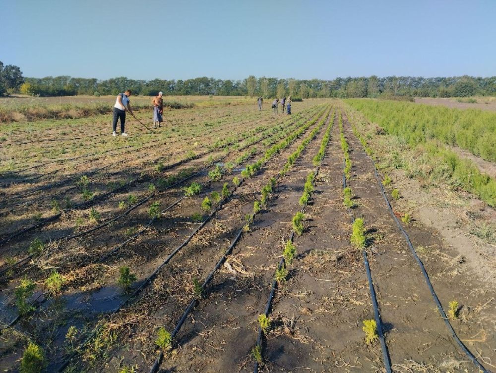 � ���������� ��������� ��������� � ������� ��������