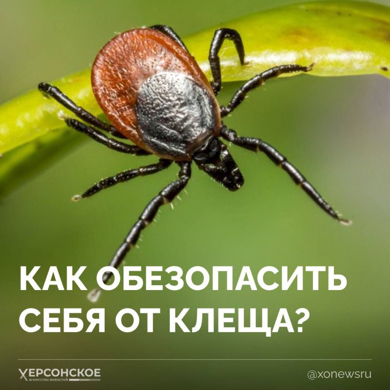 � ������ ���������� ����� �����: � � �������� ��� �������, � � ������ �� ������� �����������