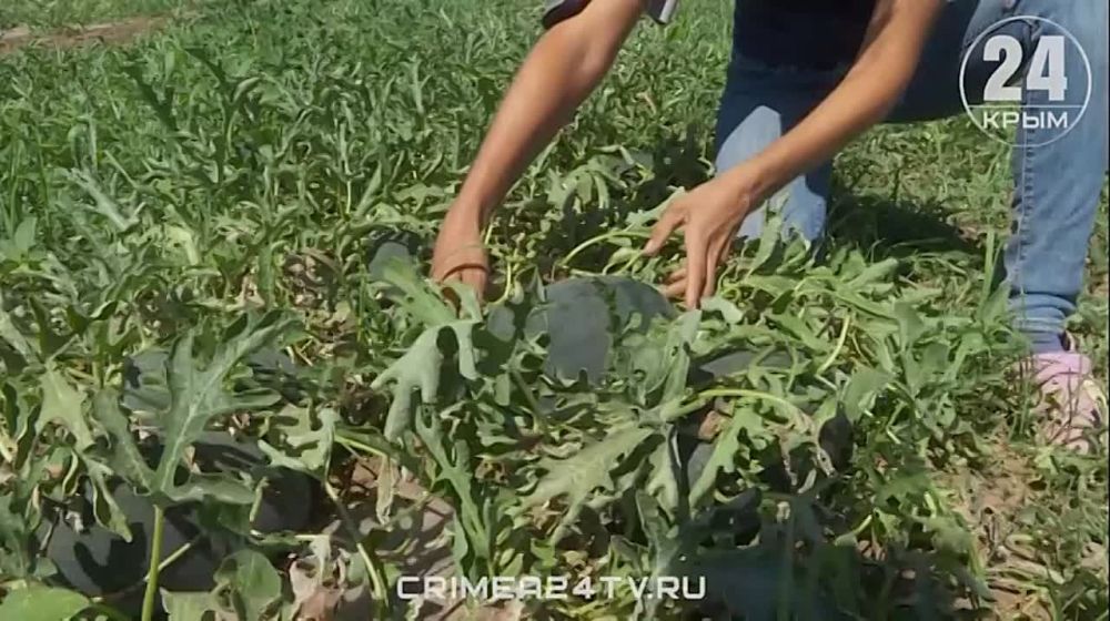 � �������������� ������ ���������� � ����� �������