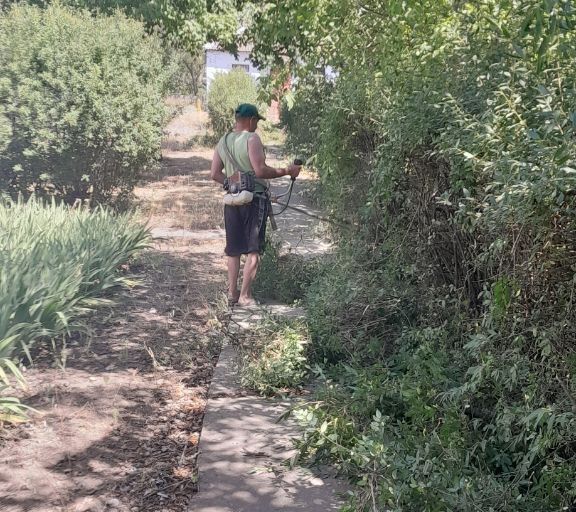 ��������������� ��������������� �������������� ������