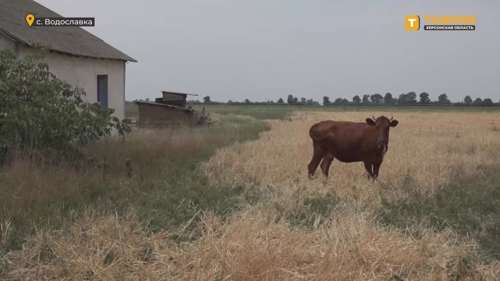 � ���� ���������� ����� ��������� �������� � ��������������