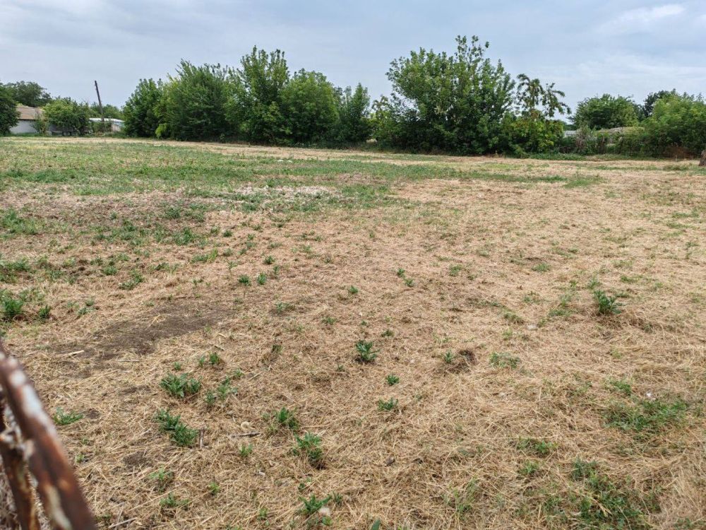 ������� - ������. � ������ ��������� ������������� ������������� ��, ����� �������� ������, � ���� ���������� -2 � ����������-1, �������� ������ �� ��������� ������������� �������� ������ ��������� �������