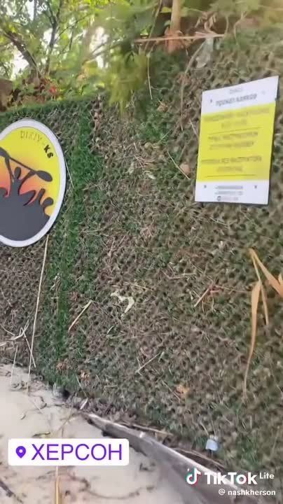 ������ ������ �������