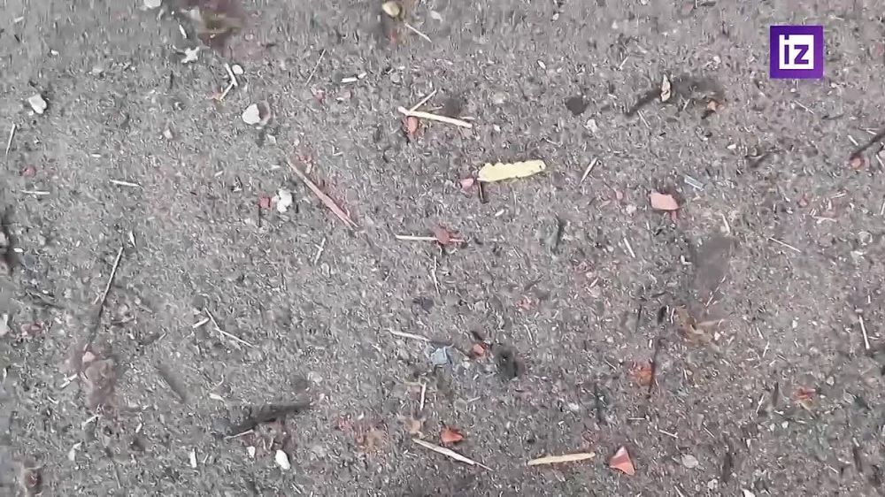 ����������� �������, ������������ ��-�� ����� ���������� ������������� �� ���� � ���������-��������, ���������� � �������� �� ���������� �������