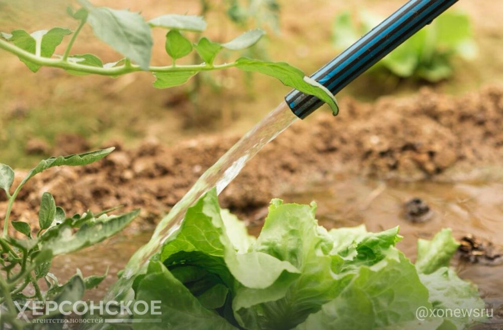 ��� ������ �������� � ������� ������ � �������� ������ ����