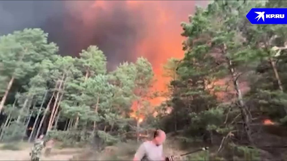 ������� ��� ���������� ������ �� ����������� ������