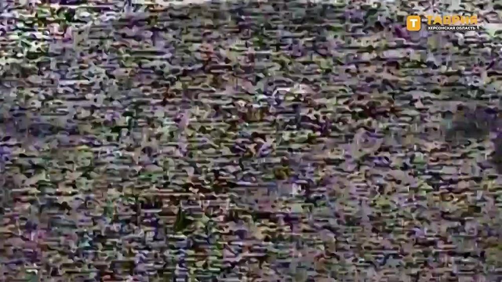 ��������� ���� ����������� ����� "�����" ����� ���������� �������� ������� ��� �� ������ ������ ������