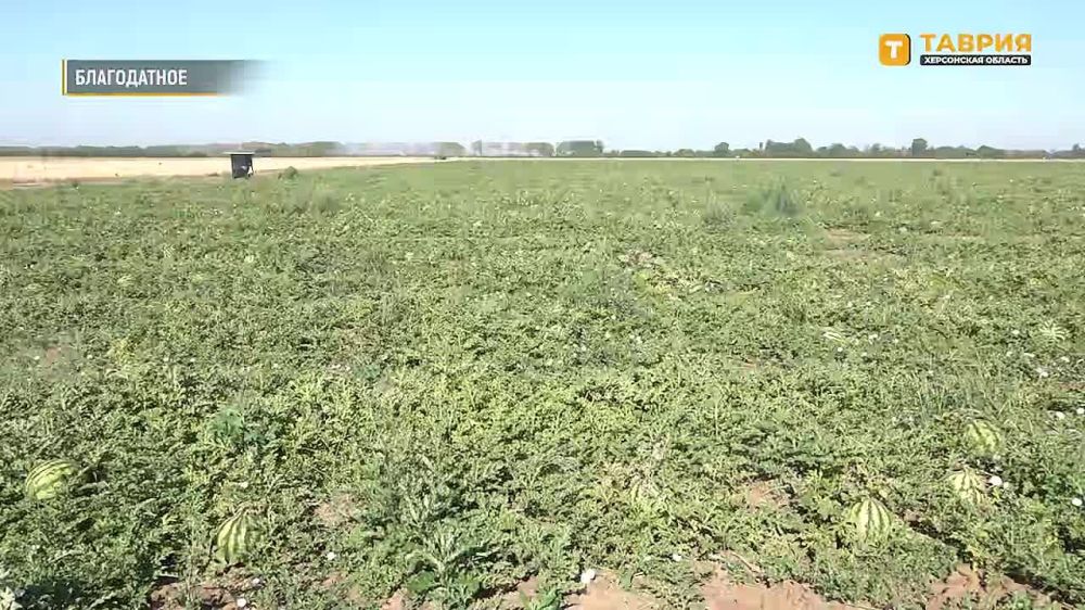 � ���������� ������� ��������� ���� ������ ������� ����� ������